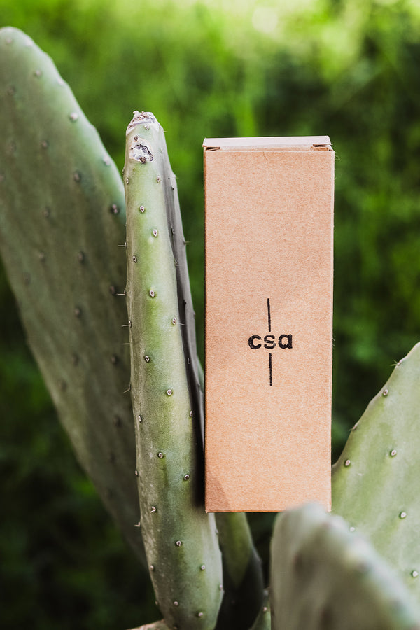 CSA %100 Doğal Keçi Kılı Yumuş Yüz Saç Bakım Fırçası