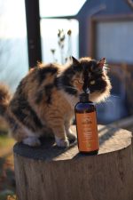 Mistik Terapi No:2 Bitkisel Şampuan Hair Repair Shampoo