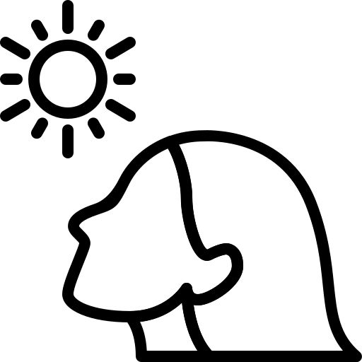Güneş Koruyucular