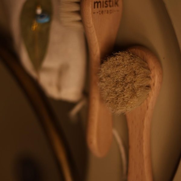 CSA %100 Doğal At Kılı Yüz Saç Bakım Fırçası