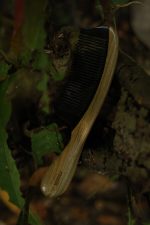 Pelesenk Saplı Sığır Boynuz Dişli Ahşap Tarak